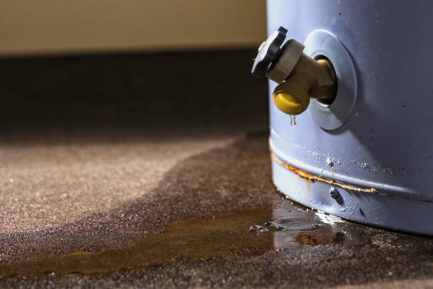 Water damage restoration experts in TN