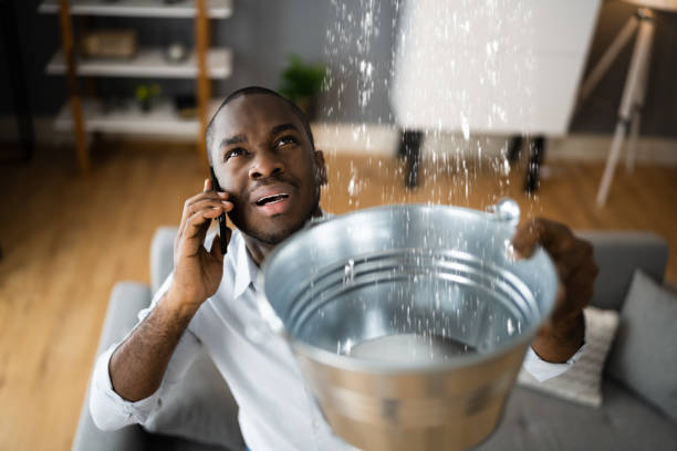 Best Water damage contractors near me  in Midtown, TN