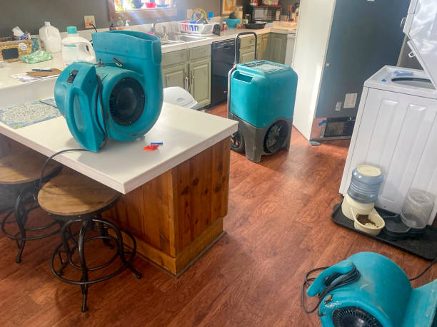 Best Local water damage restoration  in Midtown, TN