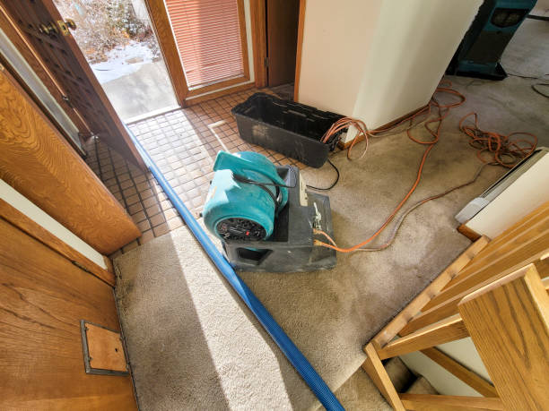 Best Residential water damage restoration  in Midtown, TN