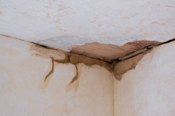 Best Carpet water damage restoration  in Midtown, TN
