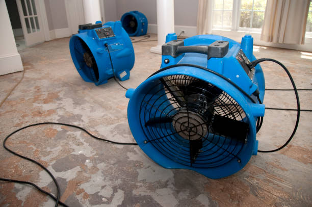 Best Carpet water damage restoration  in Midtown, TN