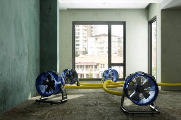 Best Water damage restoration near me  in Midtown, TN
